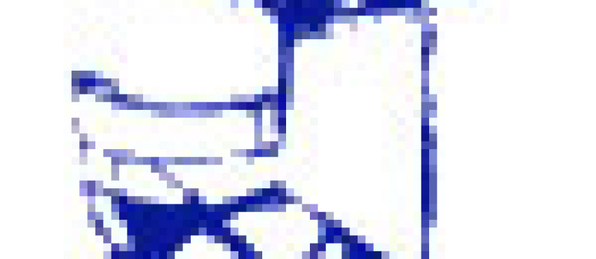 gubbe
